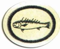 Peixes